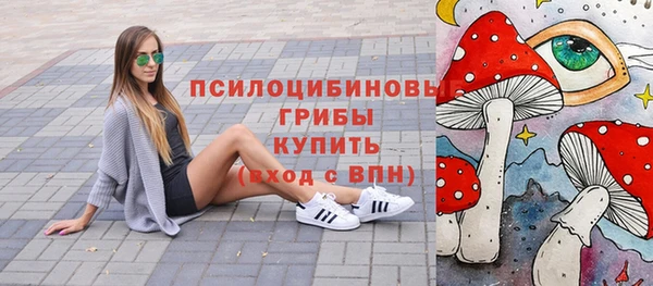 MDMA Premium VHQ Нязепетровск