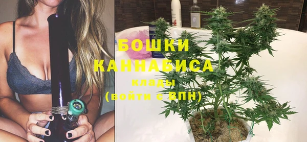 прущая мука Няндома