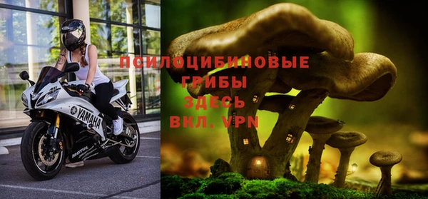 прущая мука Няндома
